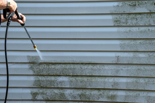 Best Hoarding Cleanup  in West Liberty, IA